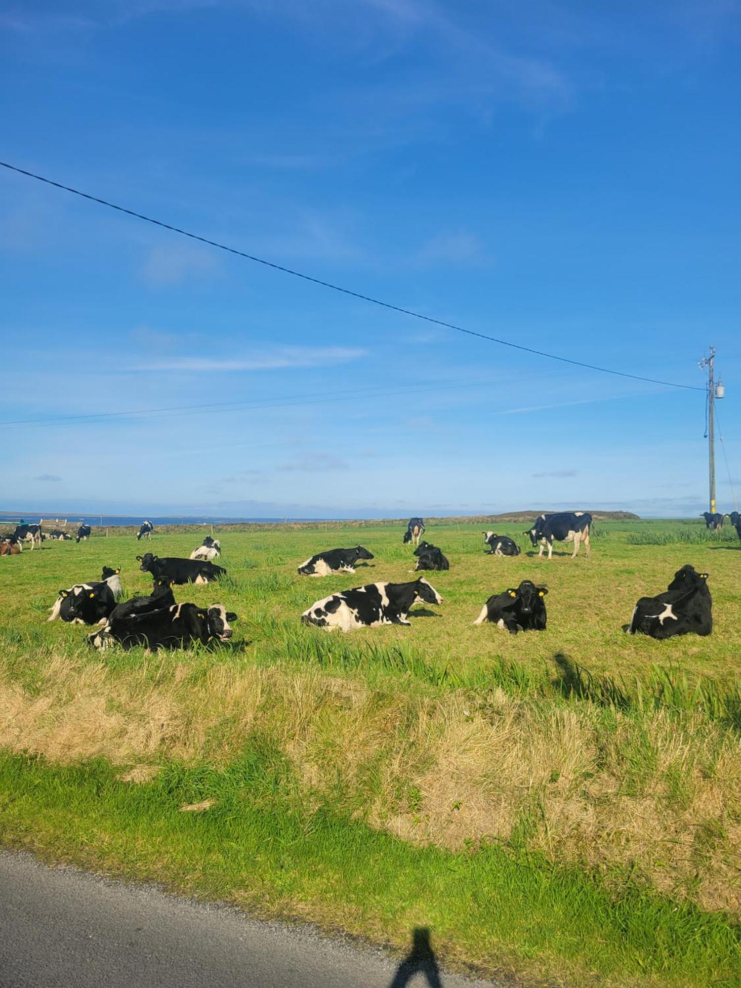 Coastal View Cottage Mullagh  Exteriér fotografie